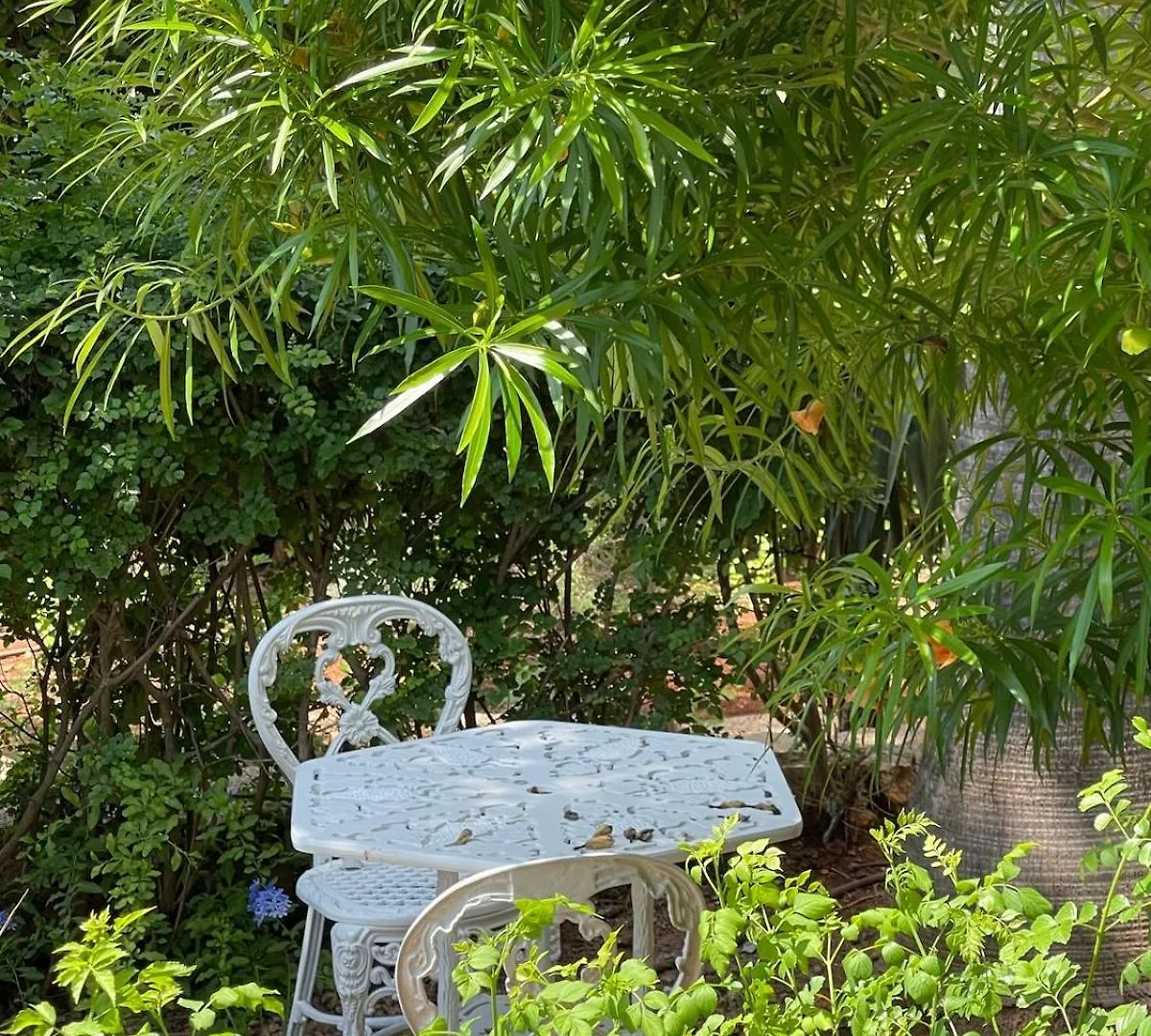 Tiffany Mare Villa Ayía Nápa Chypre